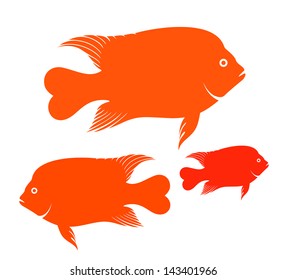 Garibaldi fish. Isolated animal on white background. Vector illustration