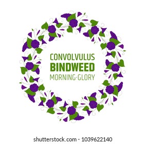 Garland with blue bindweed flowers. Element for design wreath morning-glory. convolvulus blossom pattern