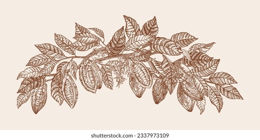 Garland mit Ästen und Früchten des Kakaobaums. Jahrgang. Vektorbotanische Illustration. Braun