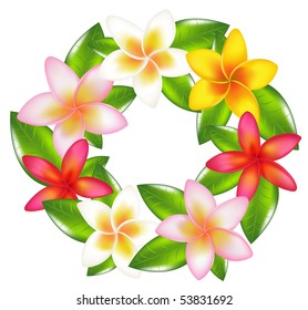 Garland Of Colorful Fragipani, Isolated On White