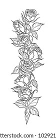 Garland of roses.Vector illustration.Isolated on white background.