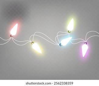 Garland shining with bright light. Multi-colored Christmas lights.	