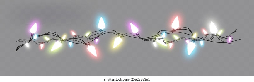 Garland shining with bright light. Multi-colored Christmas lights.	