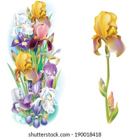 Garlands of Iris flowers