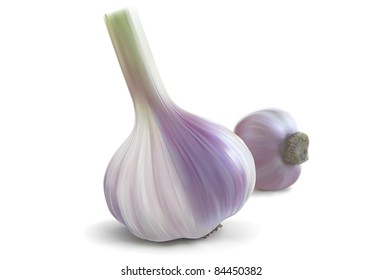 Garlic