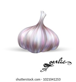 garlic, 3d illustration of a realistic vector

