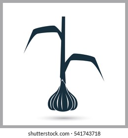 Garlic agriculture crop icon. Simple design for web and mobile