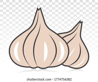 Garlic / allium sativum flat colour icon for apps and websites