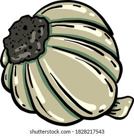 Garlic from the back, illustration, vector on white background