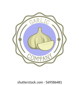 Garlic badge vector illustration.