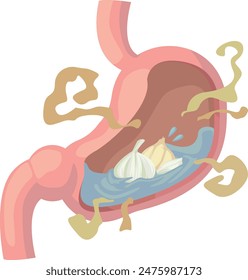 Garlic is being digested in the stomach, but a terrible odor is emitted.