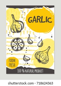 Garlic brochure concept design. Retro background. Hand drawn vector illustration. Can be used for street festival, farmers market, country fair, shop, menu, cafe, restaurant, poster, banner.