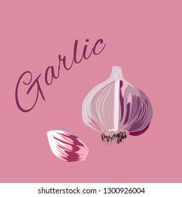 Garlic bulb and clove vector kitchen decor
