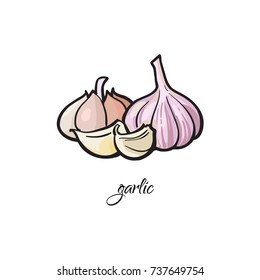 Garlic bulb and cloves with caption, sketch style vector illustration isolated on white background. Hand drawn garlic spice - whole bulbs and cloves, peeled and unpeeled