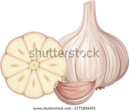 Garlic Bulb and Cloves Fresh Vegetable Food Design