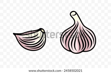Garlic bulb and garlic cloves, graphic design. Spice, vegetable, bulb and herb, vector design and illustration