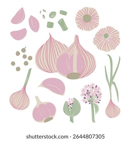 Bolbo de alho, cravo, folhas, flor e planta vetor folhagem em estilo de arte botânica estilizada
