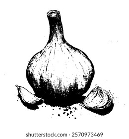 garlic bulb with cloves, perfect for botanical, culinary, and artistic projects, black and white vector illustration 