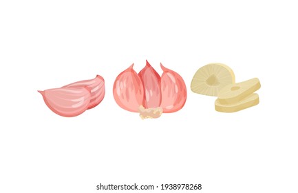 Garlic Bulb with Cloves Used in Culinary as Spice and Condiment Vector Set