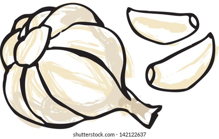 Garlic bulb & cloves vector illustration