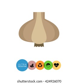 Garlic bulb icon
