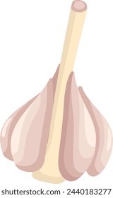 Garlic bulb icon. Cartoon spicy root vegetable