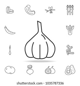 Garlic bulb icon. Set of fruits and vegetables icon. Premium quality graphic design. Signs, outline symbols collection, simple thin line icon for websites, web design, mobile app on white background