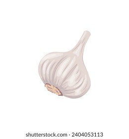 Bombilla de ajo aislada sobre fondo blanco. Ilustración de color vectorial de la bombilla de ajo en estilo plano de dibujos animados. Icono de ilustración vegetal