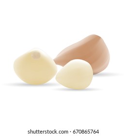 Garlic And Garlic Bulb Isolated On A White Background.