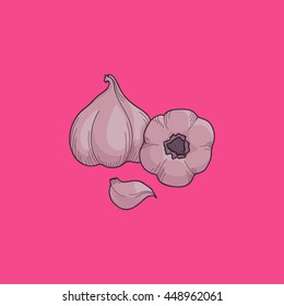 Garlic and bulb on a pink background. Vector illustration