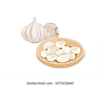 Garlic bulb and unpeeled garlic cloves in wooden plate. Isolated garlic on white background. Hand drawing food and herb ingredients vector illustration.