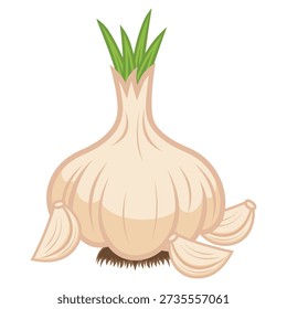 Garlic bulbs and cloves in flat style on white background