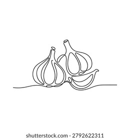 garlic bulbs line drawing on white background
