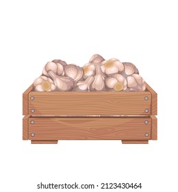 Garlic bulbs in a wooden crate vector illustration.