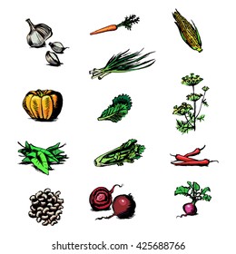 garlic, carrots, corn, onion, pumpkin, lettuce, dill, Siauliai, leeks, peppers, beans, radish, beet, watercolor vector set of icons vegetables, nutrition, fitness