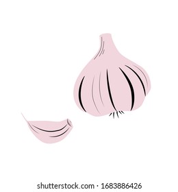 Garlic in cartoon simple flat style isolated on white background. Healthy food concept. 