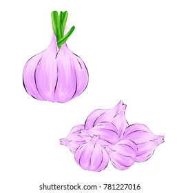 Garlic in cartoon style. Isolated object. Garlic set. Vegetable from the garden. Organic food. Vector illustration.
