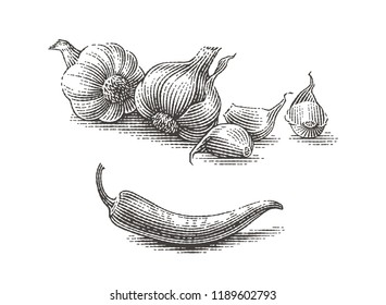 Knoblauch und Chilischoten. Gewürz. Handgezeichnete Illustrationen im Stilstil.