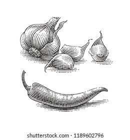 Garlic and chili pepper composition. Spice. Hand drawn engraving style illustrations.