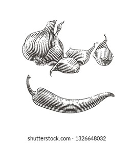 Garlic and chili pepper composition. Spice. Hand drawn engraving style illustrations.