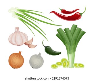 Garlic, chili pepper, jalapeno and onion in assortment: shallot, cheeves, leek, red, white and yellow onion, vector illustration isolated on white background