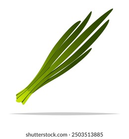 Garlic chives leaf vector isolated illustration