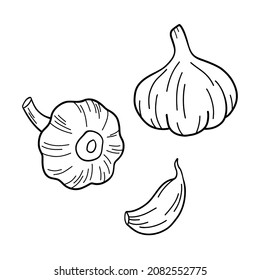 Knoblauch, handgezeichnet, Vektorgrafik Set. Gemüsegleinenkunst. Stilvolles Objekt einzeln auf weißem Hintergrund. Ideal für Menü, Label, Symbol