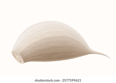 Garlic clove isolated on a white background. Vegetable and spice ingredient, unpeeled garlic clove for cooking and healthy nutrition or spice and condiment product package design. Realistic 3D vector