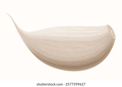 Garlic clove isolated on a white background. Vegetable and spice ingredient, unpeeled garlic clove for cooking and healthy nutrition or spice and condiment product package design. Realistic 3D vector