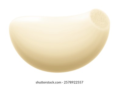 Garlic clove isolated on a white background. Vegetable and spice ingredient, peeled garlic clove for cooking and healthy nutrition or spice and condiment product package design. Realistic 3D vector