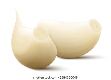 Garlic clove isolated on a white background. Vegetable and spice ingredient, peeled garlic cloves for cooking and healthy nutrition or spice and condiment product package design. Realistic 3D vector