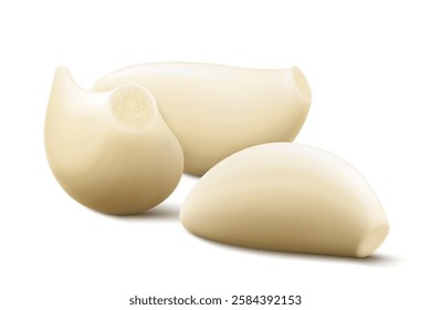 Garlic clove isolated on a white background. Vegetable and spice ingredient, peeled garlic cloves for cooking and healthy nutrition or spice and condiment product package design. Realistic 3D vector