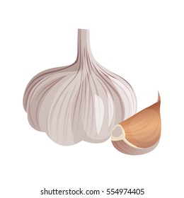 Garlic And Garlic Clove Isolated On White Background. Strong-smelling Pungent-tasting Bulb, Used As Flavoring In Cooking And In Herbal Medicine. Vector Illustration Of Aromatic Condiment Seasoning