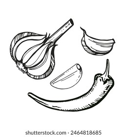 garlic clove outline vector illustration and chili pepper, ink hand drawn sketch of food, spicy and condiment theme white background, black and white doodle illustration